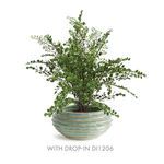 Product Image 5 for Avani Decorative Bowl from Napa Home And Garden