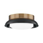 Product Image 1 for Arnie 2 Light Black Patina Brass Flush Mount from Troy Lighting