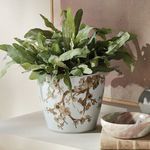 Product Image 8 for Province Flower Pots, Set Of 3 from Napa Home And Garden