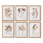Product Image 1 for Pressed Leaf Study, Set Of 6 from Napa Home And Garden