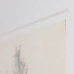 Product Image 6 for Tree Sketch Framed Black and White Artwork by Dan Hobday from Four Hands