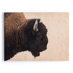 Product Image 3 for American Bison from Four Hands