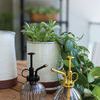 Product Image 2 for Carlise Plant Mister from Accent Decor