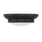 Product Image 2 for Cassidy 2 Light Flush Mount from Savoy House