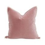 Product Image 1 for The Not So Basic 20" Essential Pillow, Set of 2 Petal Velvet from Essentials for Living