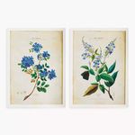 Product Image 1 for Fleurs D'amerique Prints, Set Of 2 from Napa Home And Garden
