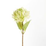 Product Image 2 for Hydrangea Stems , Set Of 6 from Napa Home And Garden