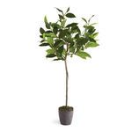 Product Image 1 for Bayleaf Faux Tree Drop-In, 28.5" from Napa Home And Garden