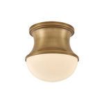 Product Image 1 for Aldrich Patina Brass Flush Mount from Hudson Valley