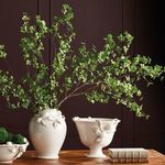 Product Image 4 for Shady Lady Black Olive Stems , Set Of 4 from Napa Home And Garden