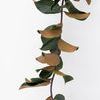 Product Image 4 for Louise 4.5' Magnolia Leaf Garland from Raz Imports