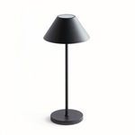 Product Image 1 for Alluna Cordless Led Lamp from Napa Home And Garden