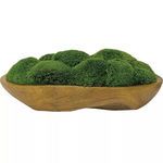 Product Image 1 for Kinsale Moss Centerpiece from Uttermost