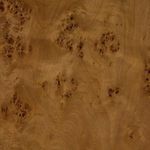 Product Image 4 for Caya Large Caramel Burl Coffee Table from Four Hands