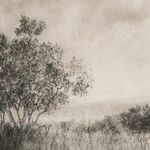 Detail of finely textured charcoal marks in tree and grass area of artwork