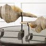 Uttermost Conch Shell Sculpture, Set/2 image 2