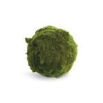 Product Image 1 for Moss Orbs, Set of 3 from Napa Home And Garden
