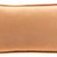 Product Image 1 for Cotton Velvet Camel Lumbar Pillow from Surya