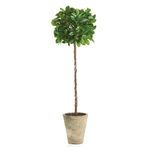Product Image 1 for Faux Ficus Potted Topiary, 27" from Napa Home And Garden