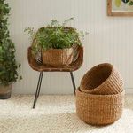 Product Image 3 for Seagrass Cylindrical Baskets, Set Of 3 from Napa Home And Garden