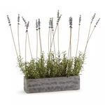 Product Image 1 for French Lavender In Trough 19" from Napa Home And Garden