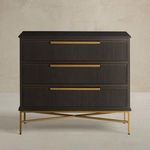 Product Image 1 for Riggs Mahogany Wood Storage Chest from Gabby
