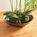 Product Image 3 for Myron Decorative Bowl from Napa Home And Garden