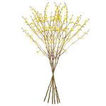 Product Image 4 for Forsythia Stems , Set Of 6 from Napa Home And Garden