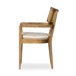 Product Image 15 for Britt Brushed Ebony Cane Dining Armchair from Four Hands