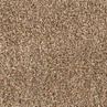 Product Image 2 for Cleo Shag Brown / Multi Rug from Loloi