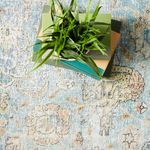 Close-up top view of flat weave rug showing faded stag motif with books and plants styling detail