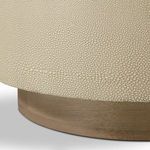 Product Image 8 for Crosby Light Cream Faux Shagreen Side Table  from Four Hands