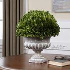 Product Image 2 for Uttermost Preserved Boxwood Garden Urn from Uttermost