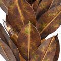 Product Image 2 for Weston Wall Sconce from Currey & Company