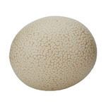 Product Image 1 for Tofu Ostrich Egg from Elk Home