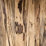 Product Image 15 for Hudson Spalted Primavera Wooden C-Table from Four Hands