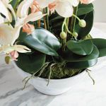 Product Image 7 for Phalaenopsis Orchid Bowl Drop-In 18.5" from Napa Home And Garden