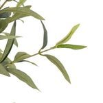 Product Image 7 for Faux Olive Tree from Four Hands
