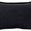Product Image 1 for Cotton Velvet Black Pillow from Surya