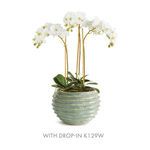 Product Image 6 for Avani Pot from Napa Home And Garden