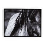 Product Image 2 for Icelandic Horse from Four Hands