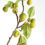Product Image 4 for Crabapple Branches, Set of 2 from Napa Home And Garden