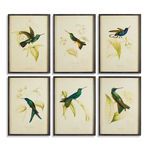 Product Image 1 for Hummingbird Prints, Set Of 6 from Napa Home And Garden