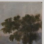 Close-up detail of densely textured tree leaves against soft sky background