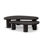 Product Image 1 for Joji Aged Black Nesting Coffee Tables from Four Hands