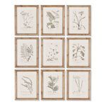 Product Image 2 for Botanical Illustrations, Set Of 9 from Napa Home And Garden