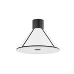 Product Image 1 for Forrest Iron 1-Light Flush Mount - Black & White from Troy Lighting