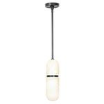 Salon Pendant glowing warmly against white background with black metal rod and mount