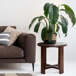 Side table styled beside dark brown sofa with striped throw pillows and large potted plant on top
