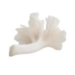 Product Image 5 for Luca Sculpture from Arteriors
